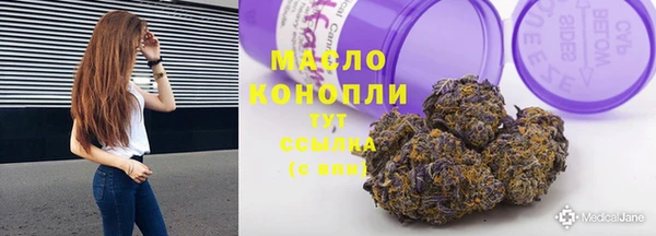 шишки Гусиноозёрск