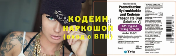 шишки Гусиноозёрск