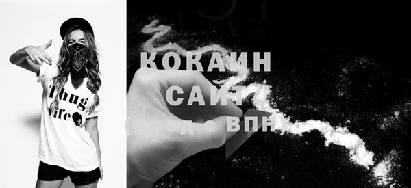шишки Гусиноозёрск