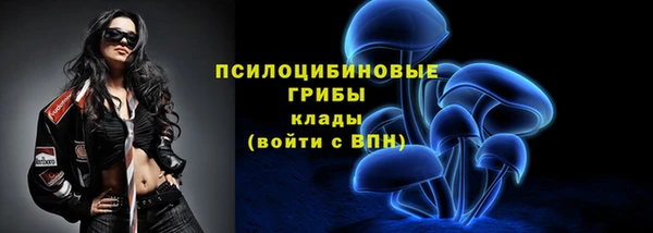 мдма Гусев
