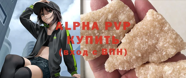 шишки Гусиноозёрск