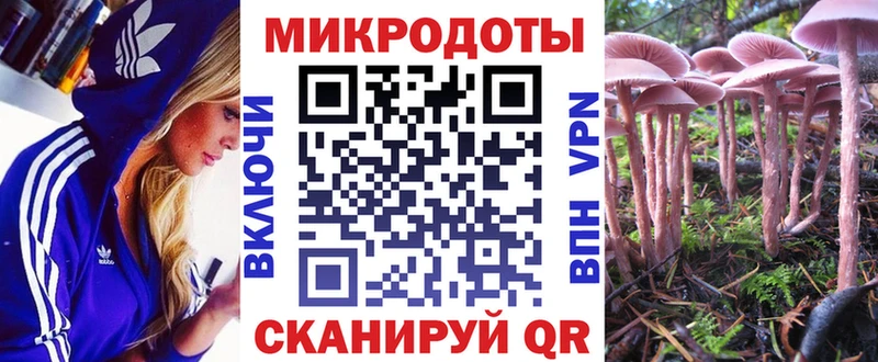 Псилоцибиновые грибы прущие грибы закладка Дегтярск